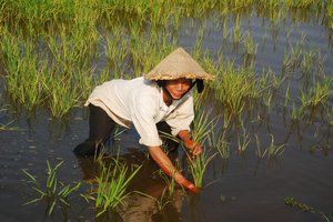 V osrčju Indokine - 3040.jpg