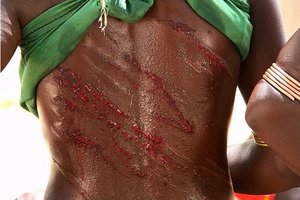 Brazgotine izkažejo spoštovanje in predanost (s ceremonije Skok čez bika)