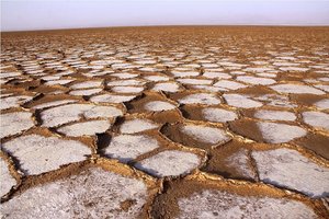 Kamelje karavane sol ponesejo v civilizacijo, daleč daleč stran