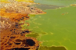 Korale in gejzirji bizarnega Dallola