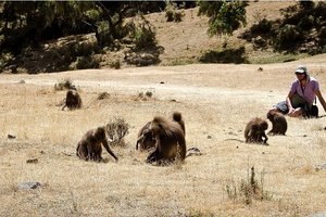 Čil out z dželadami, gorovje Simien