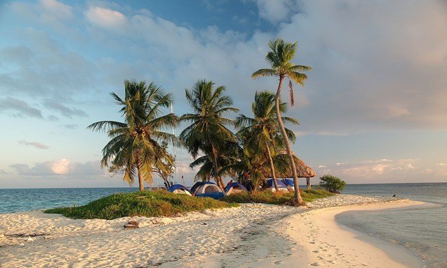 Kmepo pod sedmimi palmami