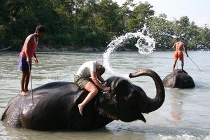 Kopanje s sloni v Chitwanu