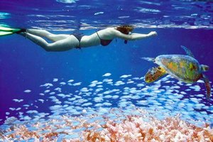 Moja in tvoja Indonezija - 3198.jpg