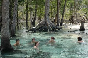 Kopanje v gozdu, ShaPPa beach, Andamani, indija
