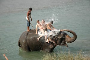 Kopanje s sloni v parku Chitwan, Nepal