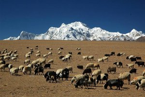 Tibetanska planota in osemtisočaki, Tibet