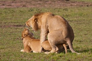 Novoletna popotovanja - 3397.jpg