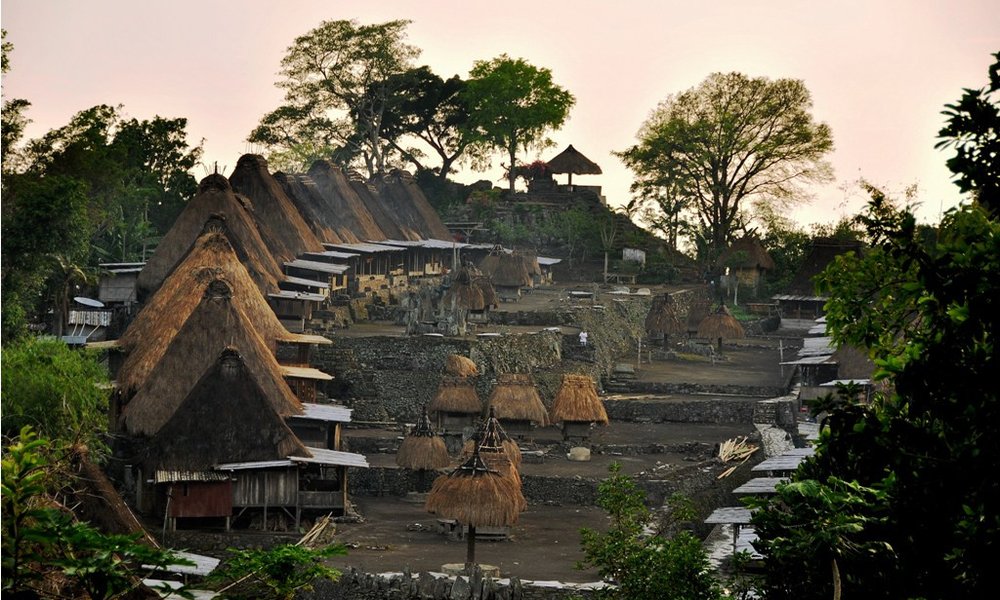Vasica ljudstva Ngada, Flores