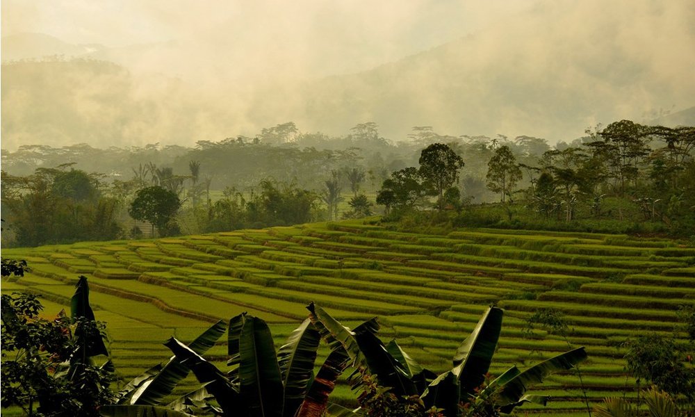 Prelepe riževe terase, Flores