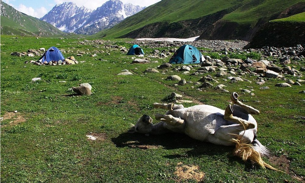 Kemp na predzadnji dan trekinga v Kašmirju