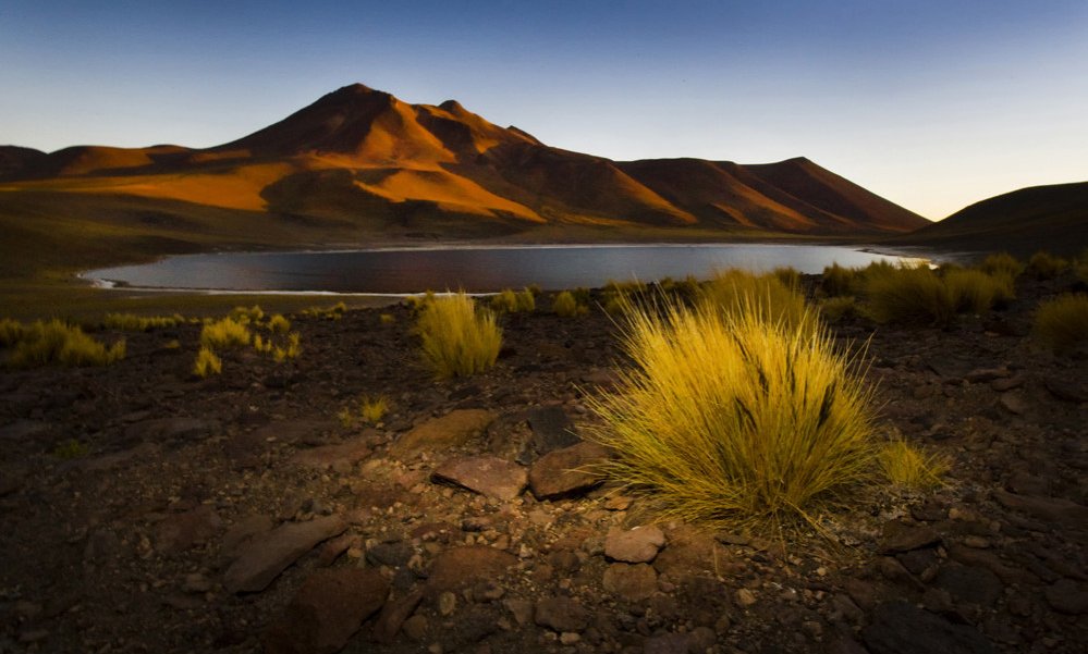 Redko rastje v visokogorju