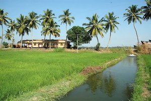 Neverjetna Indija (od Kerale preko Andamanov do Kašmirja) - 3549.JPG