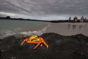 Ekvador in Gallapagos - 3622.jpg