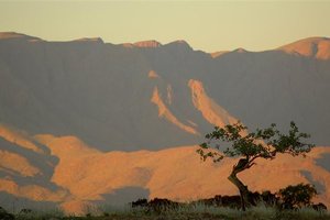 Namibija, Bocvana, Zimbabve - 3633.jpg