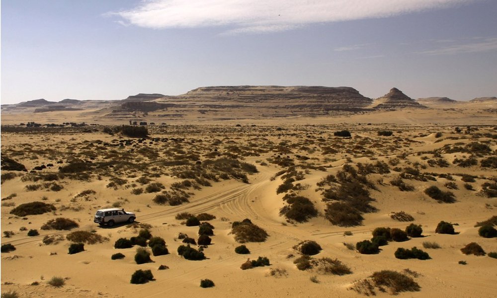 Izlet z jeepi v puščavo okoli Siwe