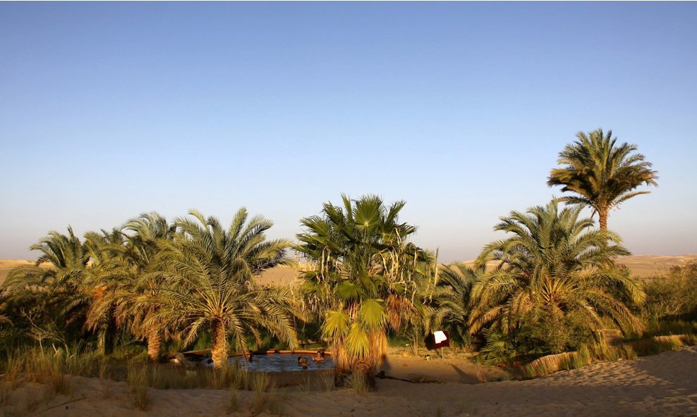 Oaza z bazenčkom tople termalne vode, okolica Siwe