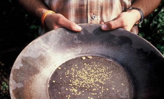 Zlata mrzlica je v teh časih spet na delu