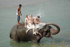 Nepal in Južna Amerika, biseri - 3911.jpg