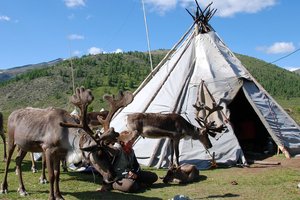 Filipini in Mongolija (tudi s konji) - 3931.JPG