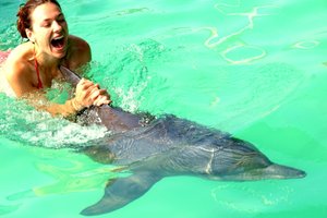 Maroko, Sumatra, Kašmir in Ladak, Huayhuash - 3967.jpg