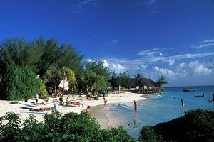 Indonezija, Uganda in Tanzanija, Kitajska, Francija smučanje - 3973.jpg