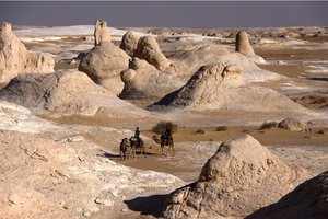 S kamelami skozi puščavo, Egipt