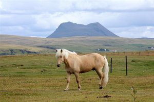 Islandija in Kuba - 4056.jpg