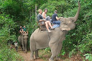 Jugovzhodna Azija (Burma, Laos, Kambodža, Tajska) - 4063.jpg