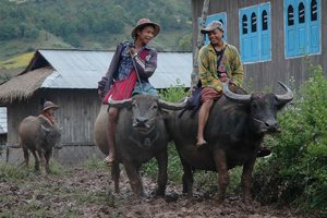 Jugovzhodna Azija (Burma, Laos, Kambodža, Tajska) - 4079.jpg