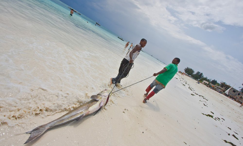 Rajske plaže Zanzibarja
