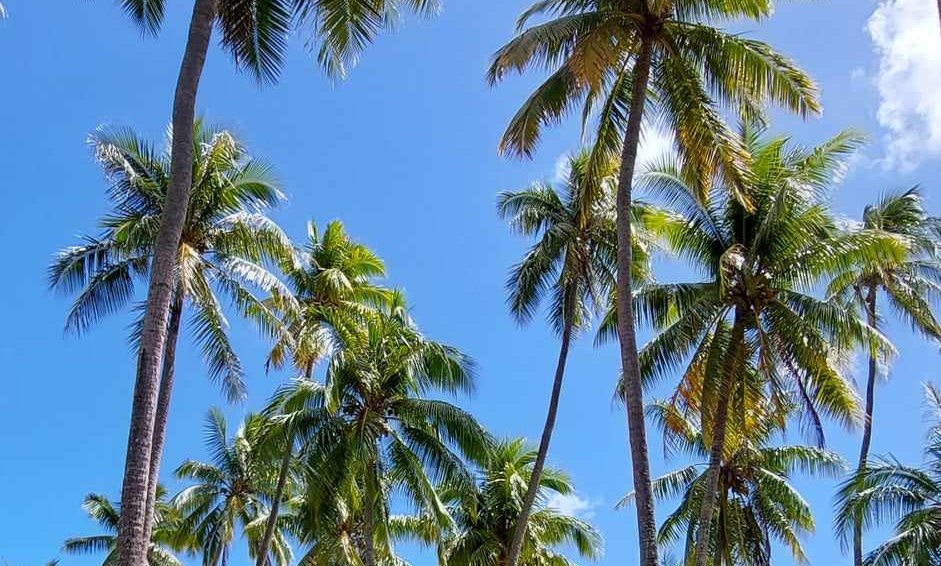 413075544_1108620613829853_9037875637427823637_n