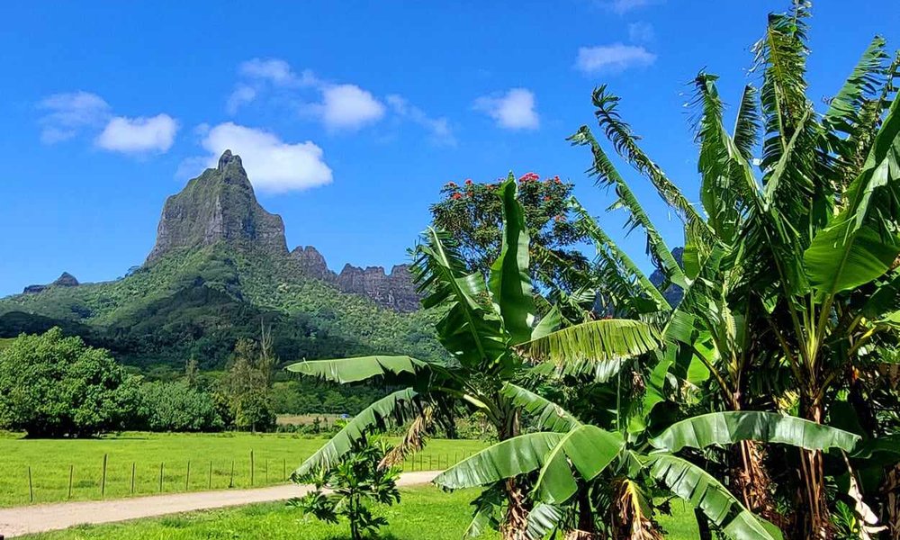 413099066_1065312314804809_645338852861561508_n