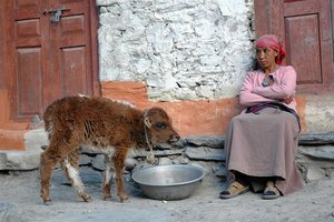 Mongolija ter Nepal s Tibetom - 4131.JPG