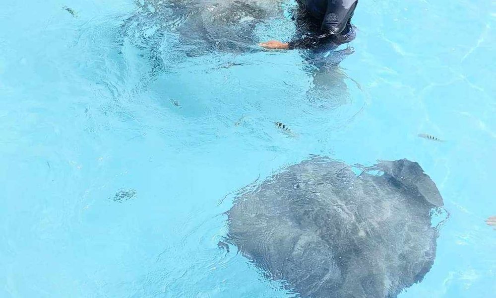 413978885_1388562481758350_3333419180813655874_n