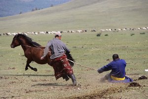 Mongolija ter Nepal s Tibetom - 4145.jpg