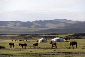 Geri in konji, Mongolija