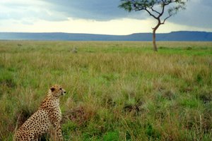 Namibija, Bocvana in Zimbabve + Uganda in Tanzanija - 4190.jpg