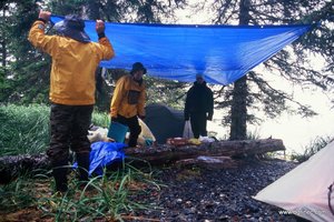 Aljaska in parki ZDA - 4260.JPG