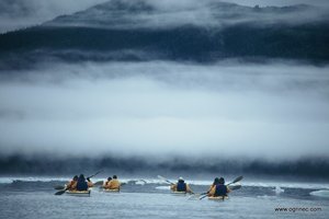 Aljaska in parki ZDA - 4261.jpg