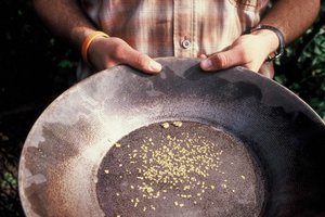 Aljaska in parki ZDA - 4262.jpg