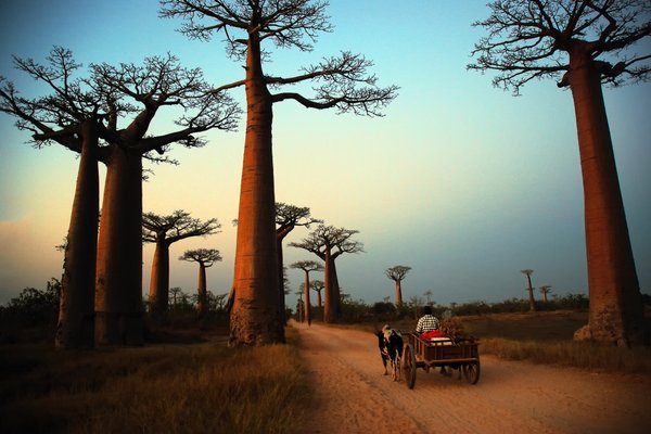 Madagaskar in obisk pri Pedru Opeki - 4277.jpg