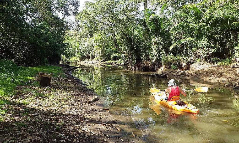 S kajaki po področju Guatuzos