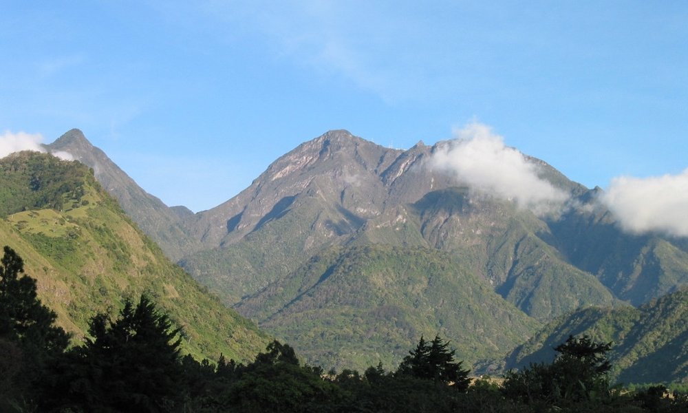 Hriboviti del pokrajine Chiriqui, Panama