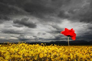 Reportažna in popotna fotografija - 4320.jpg