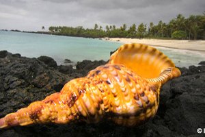 Reportažna in popotna fotografija - 4321.jpg