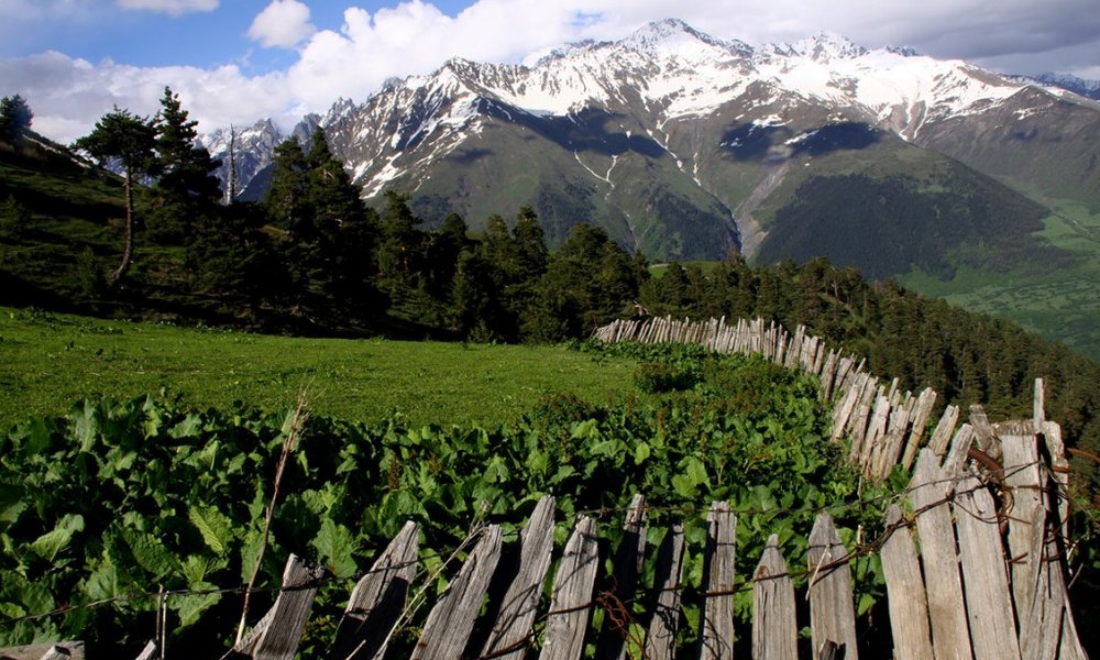 Visoki Kavkaz, Svaneti