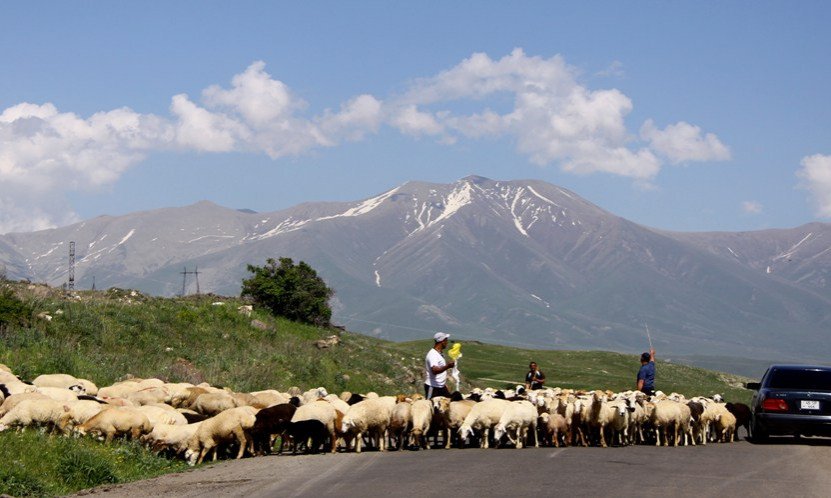 Armenski trefik džem