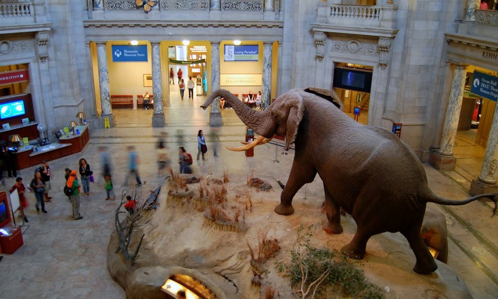 Muzeji v ZDA so res eni najboljših, zato v njih ne pričakujte dolgočasja