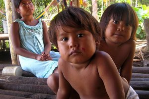 Venezuelski indijančki